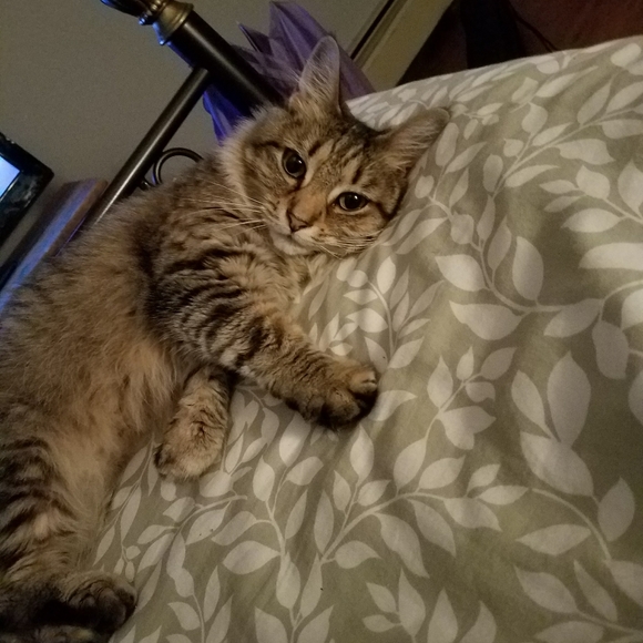 Meet your Posher, Emma - Picture 5 of 8